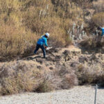 workers clearing weeds.jpg