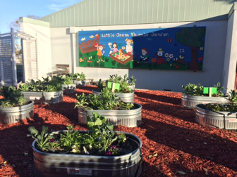 The little green thumbs garden where students plant a wide variety of vegetables and flowers.