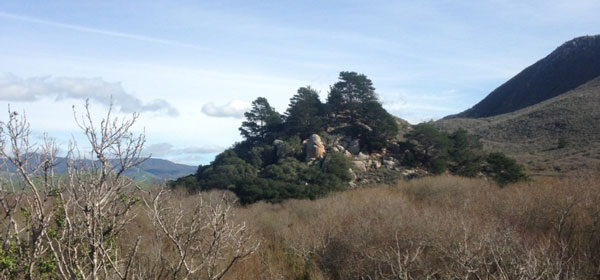 camping site morro bay state park