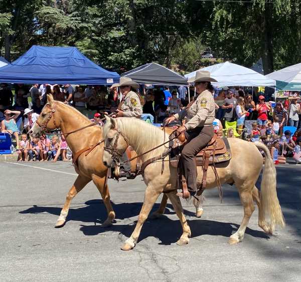 horse in parade